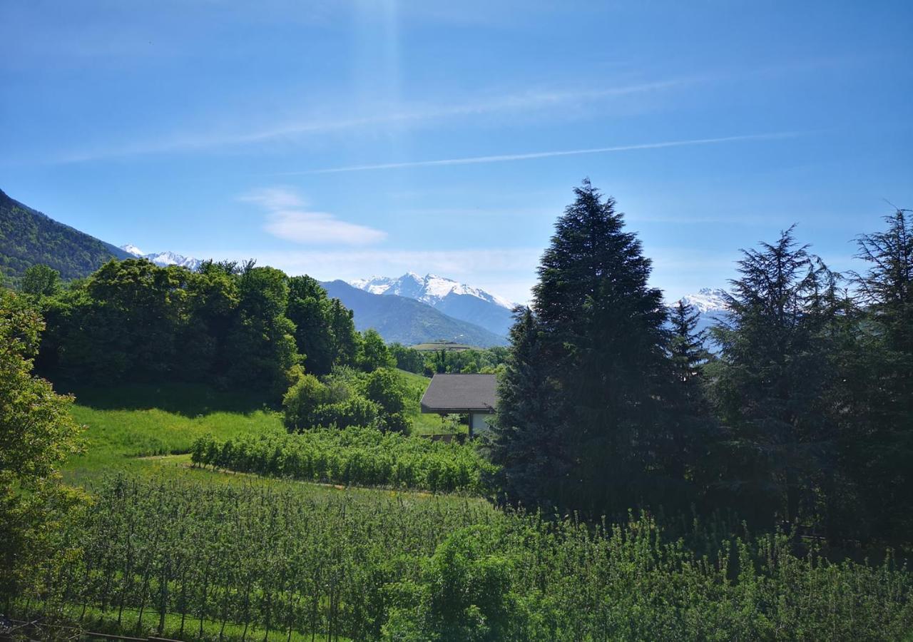 Le Parfum Du Sel